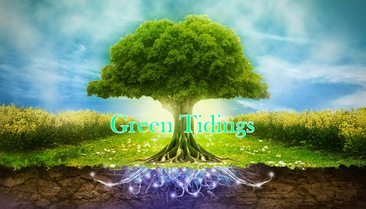7 Cosmetic Ingredients That Are Bad For The Environment - Green Tidings