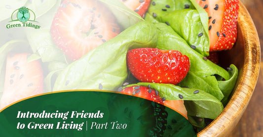 Introducing Friends to Green Living, Part Two - Green Tidings