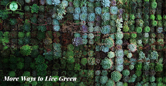 More Ways to Live Green - Green Tidings