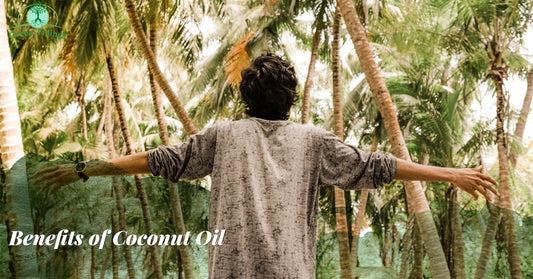 The Benefits of Coconut Oil - Green Tidings