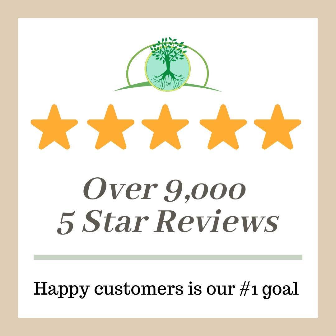 Green Tidings Natural Deodorant, Unscented 1 Ounce - Green Tidings