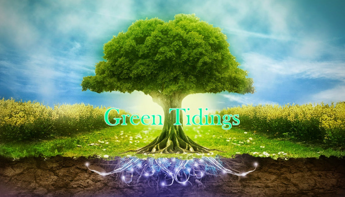 7 Cosmetic Ingredients That Are Bad For The Environment - Green Tidings