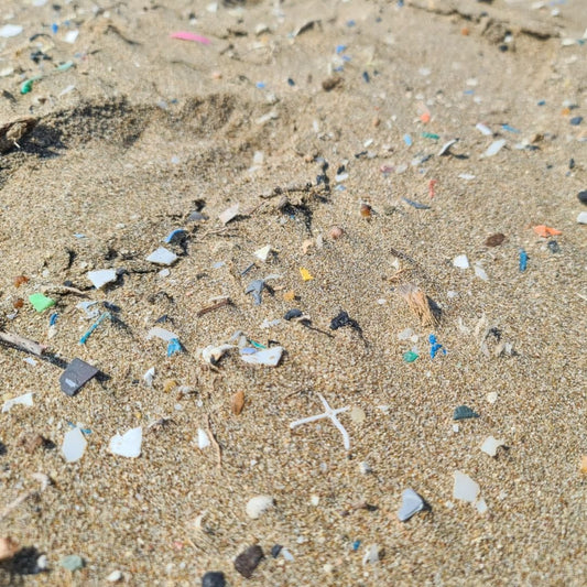 Dive into Action: The Microplastic Cleanup Adventure Begins! - Green Tidings