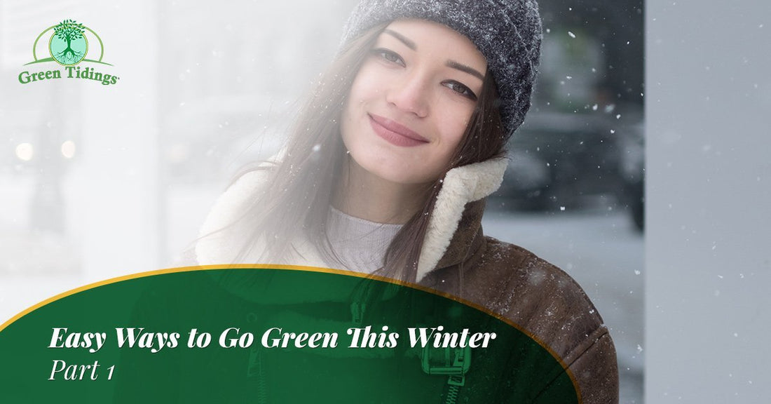 Easy Ways to Go Green This Winter — Part I - Green Tidings