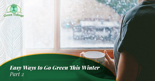 Easy Ways to Go Green This Winter — Part II - Green Tidings