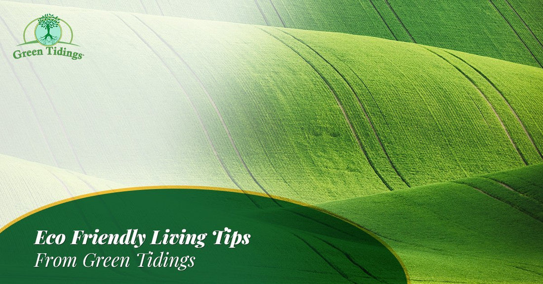 Eco Friendly Living Tips From Green Tidings - Green Tidings