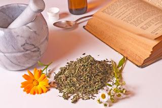 Herbal Remedies for Children - Green Tidings