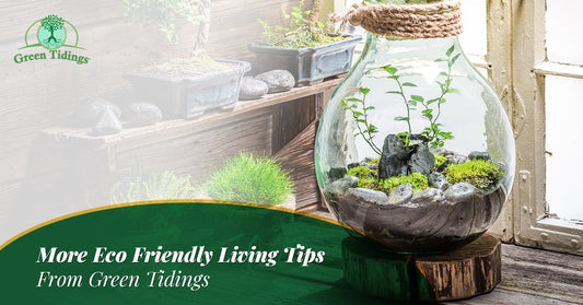 More Eco Friendly Living Tips From Green Tidings - Green Tidings