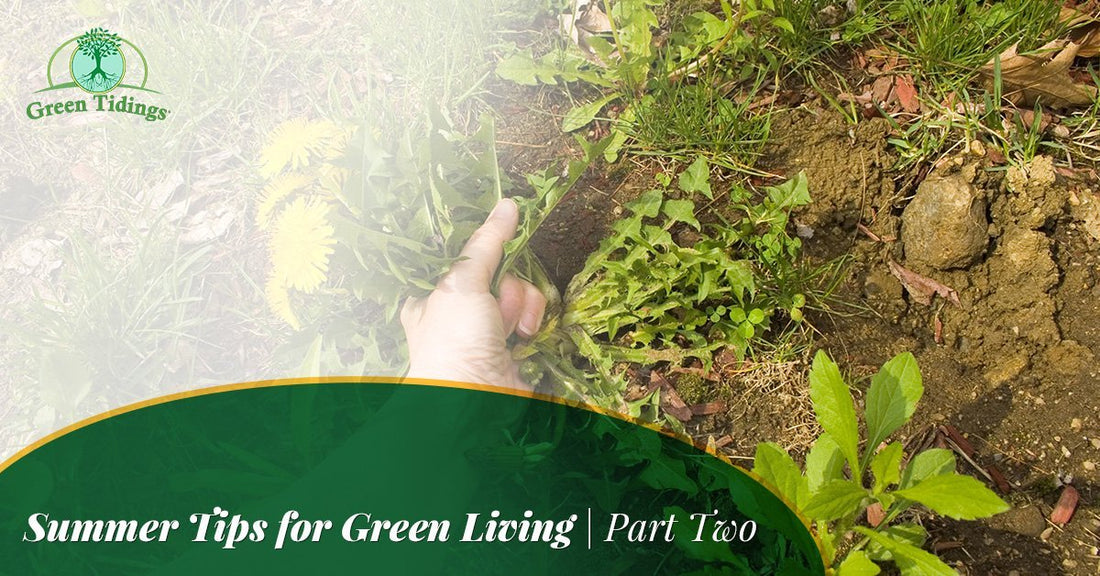 Summer Tips For Green Living, Part Two - Green Tidings