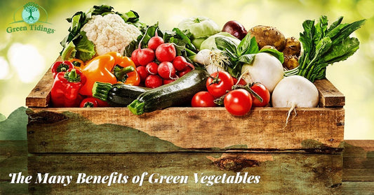 The Many Benefits of Green Vegetables - Green Tidings