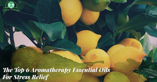 The Top 6 Aromatherapy Essential Oils For Stress Relief - Green Tidings