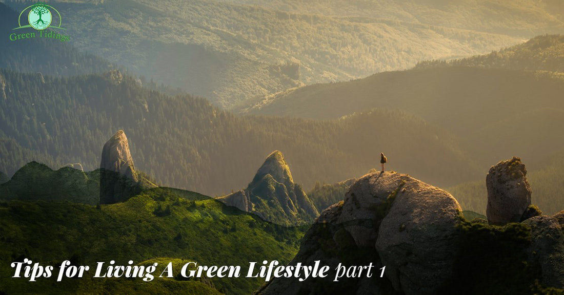 Tips For Living a Green Lifestyle, Part One - Green Tidings