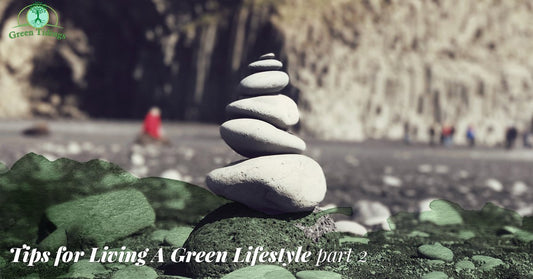 Tips for Living A Green Lifestyle, Part Two - Green Tidings