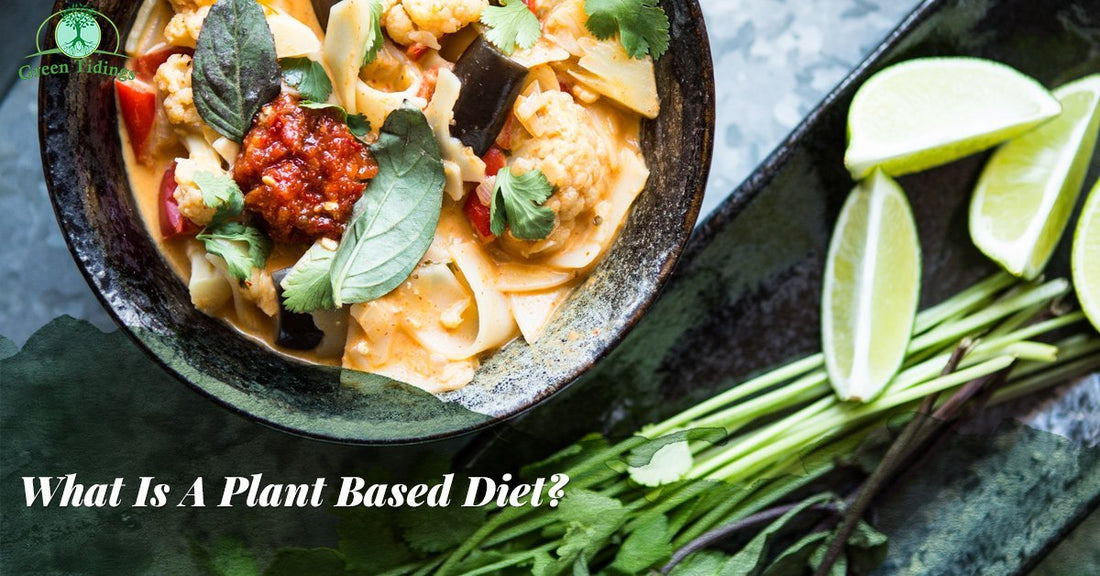 What Is A Plant Based Diet? - Green Tidings