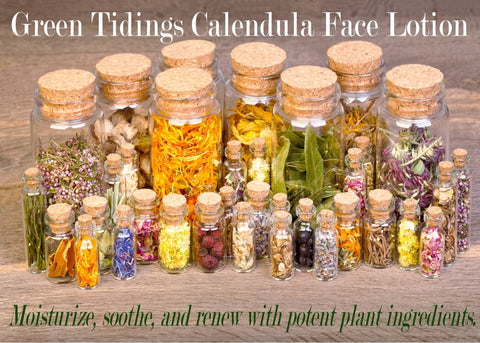 Calendula Face Lotion - Green Tidings