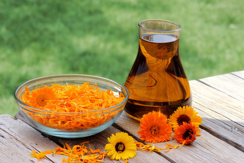Calendula Face Lotion - Green Tidings